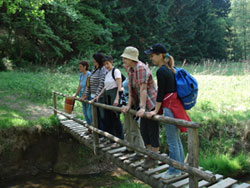 Wandern in Blankenheim